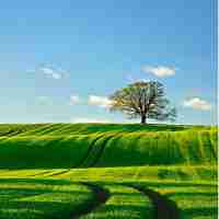 seo管﻿理﻿软​件‌